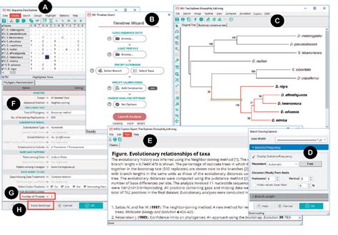 MEGA X: Molecular Evolutionary Genetics Analysis across .